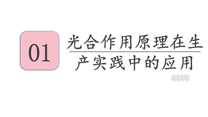 6.5 光合作用和呼吸作用的原理 (课件)苏教版生物七年级上册第3页