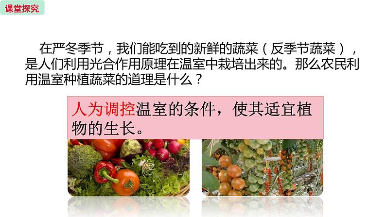 6.5 光合作用和呼吸作用的原理 (课件)苏教版生物七年级上册第4页