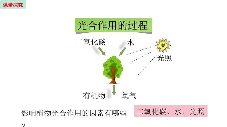 6.5 光合作用和呼吸作用的原理 (课件)苏教版生物七年级上册第6页
