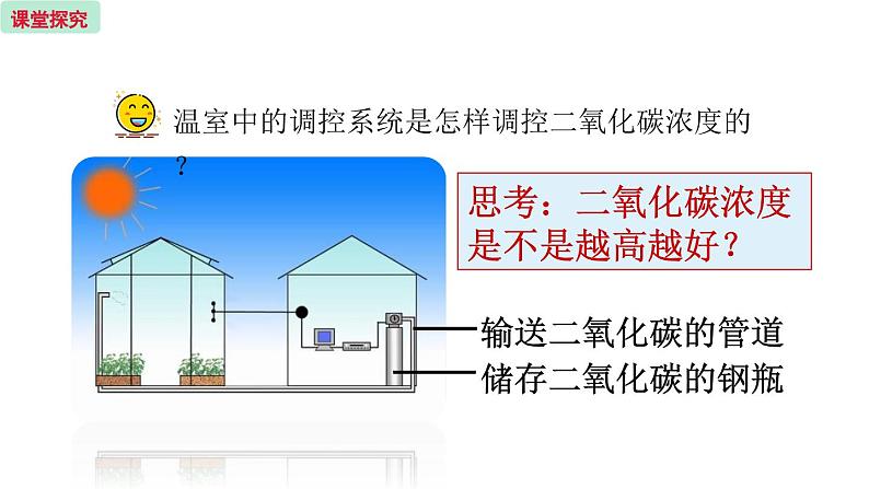 6.5 光合作用和呼吸作用的原理 (课件)苏教版生物七年级上册第7页