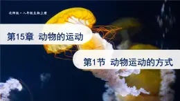 北师大版八年级生物上册课件 5.15.1 动物的运动方式