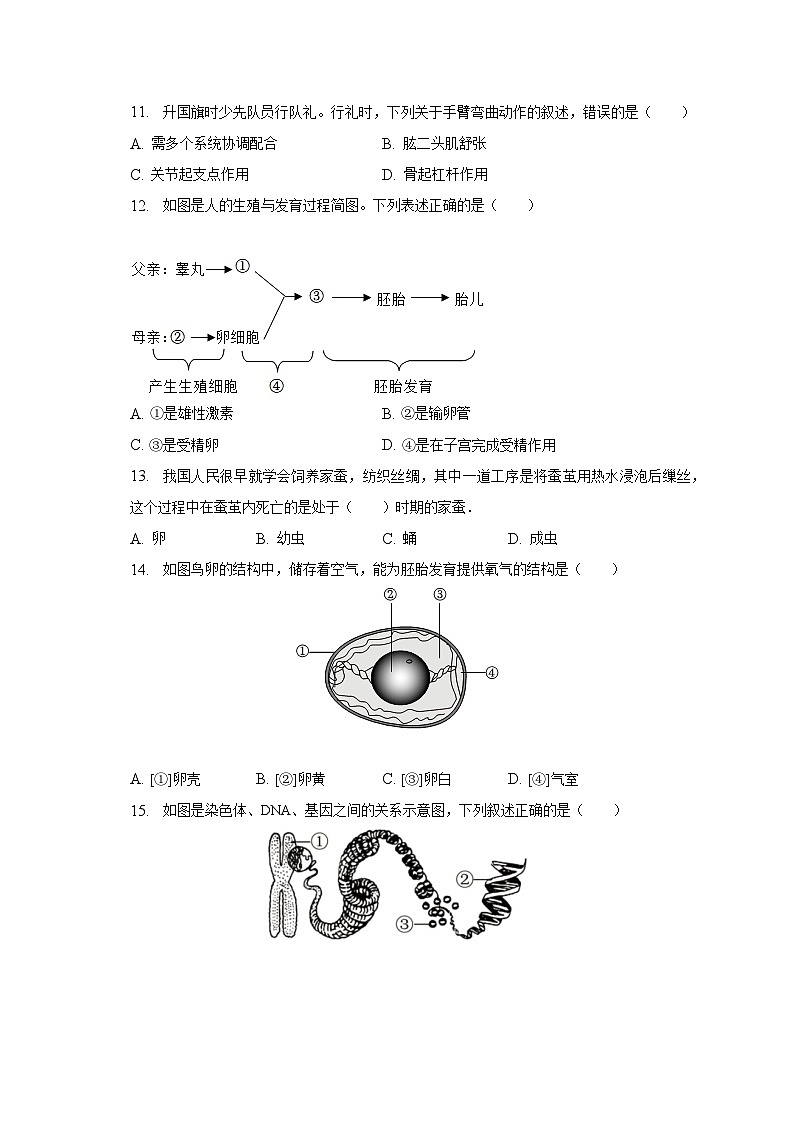 2023年福建省泉州市安溪县中考生物适应性试卷(含解析)第2页