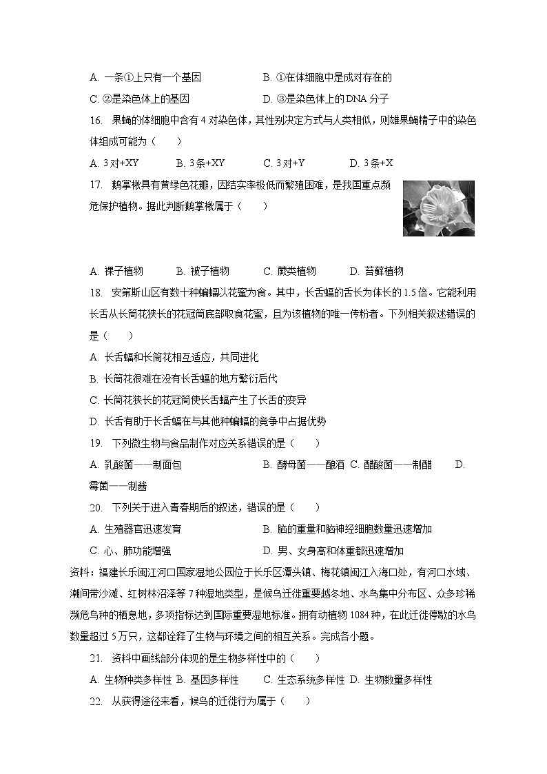 2023年福建省泉州市安溪县中考生物适应性试卷(含解析)第3页