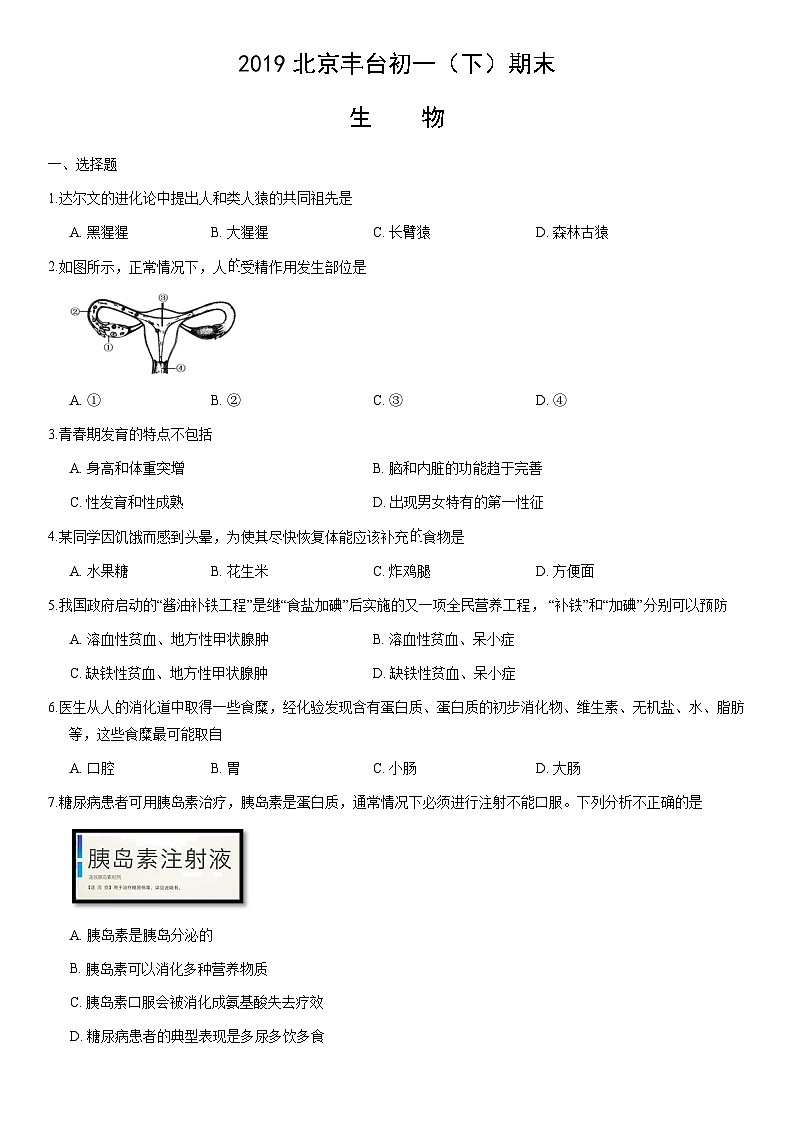 2019北京丰台初一(下)期末生物(教师版)第1页