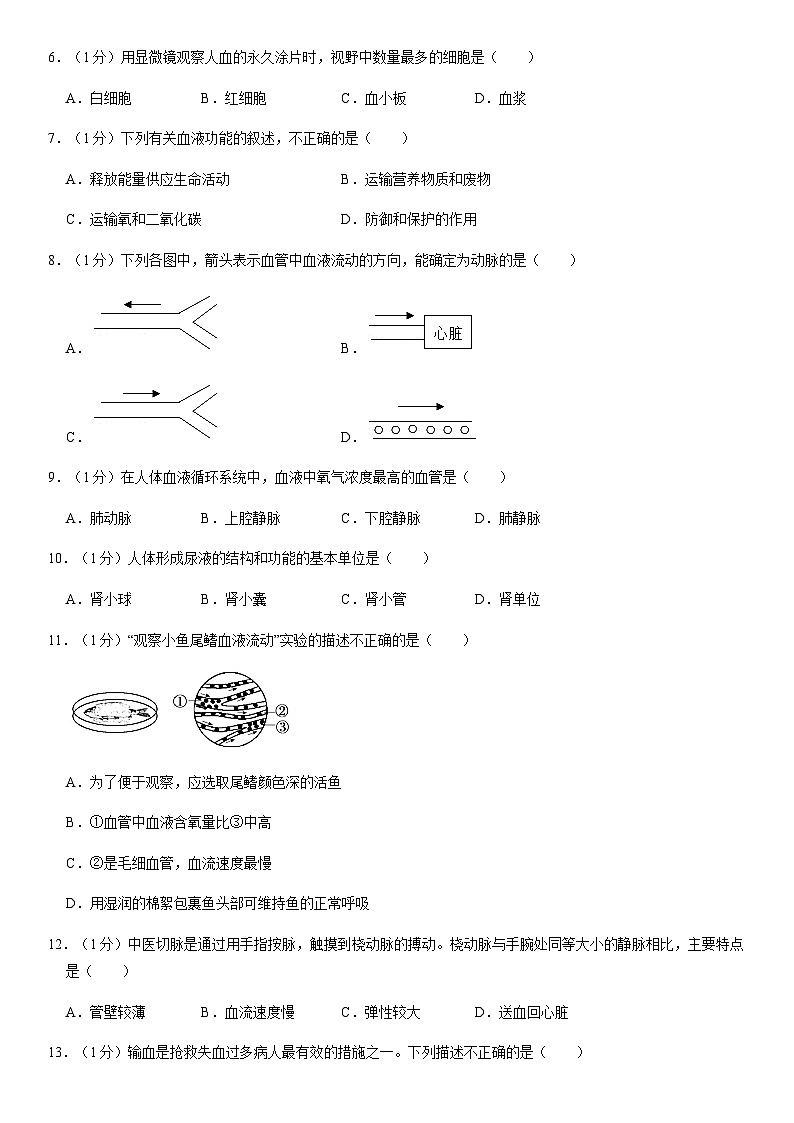 2020北京首都师大二附中初一(下)期末生物(教师版) 试卷02
