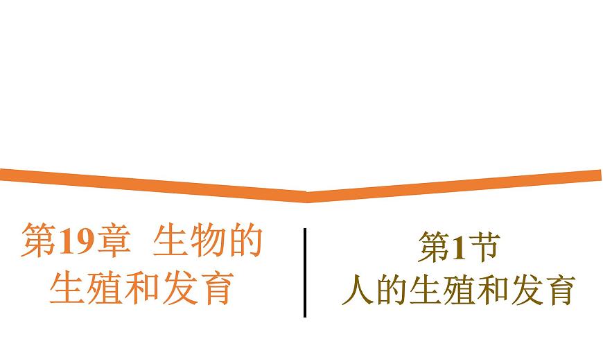 19.1《人的生殖和發(fā)育》課件第1頁(yè)