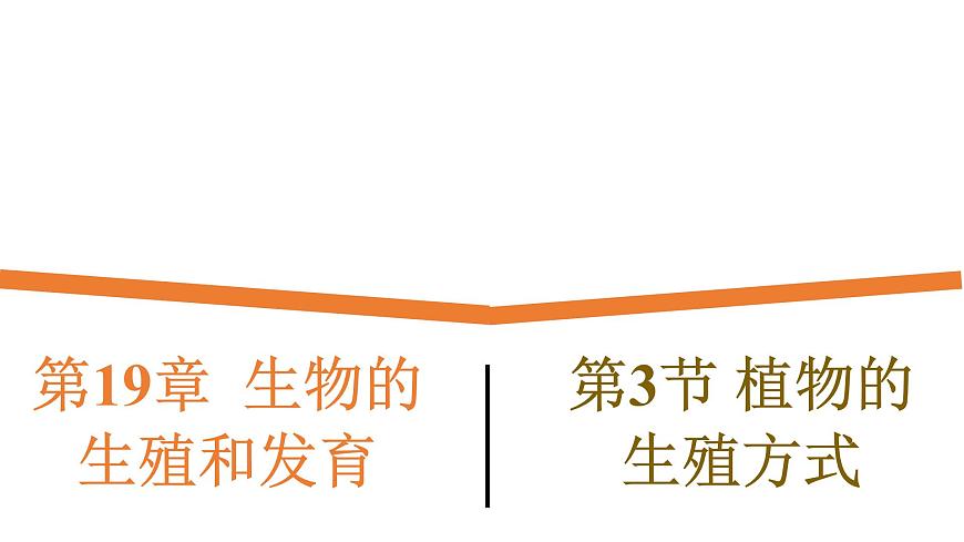 19.3《植物的生殖與發(fā)育》課件第1頁