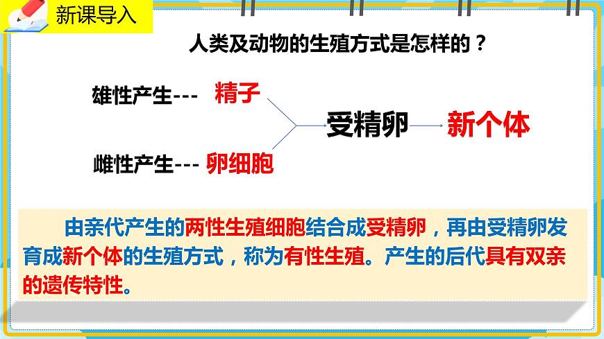 19.3《植物的生殖與發(fā)育》課件第2頁