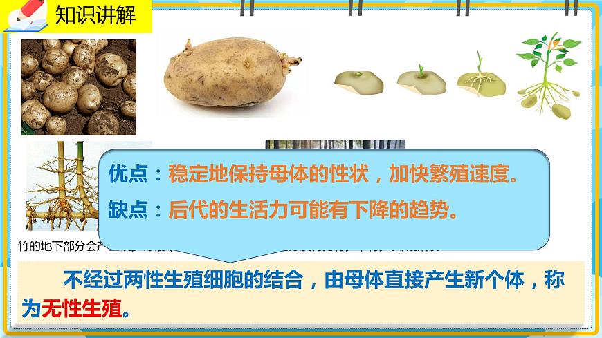 19.3《植物的生殖與發(fā)育》課件第6頁