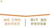 20.1《遗传和变异现象》課件
