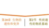 20.2《性状遗传的物质基础》課件