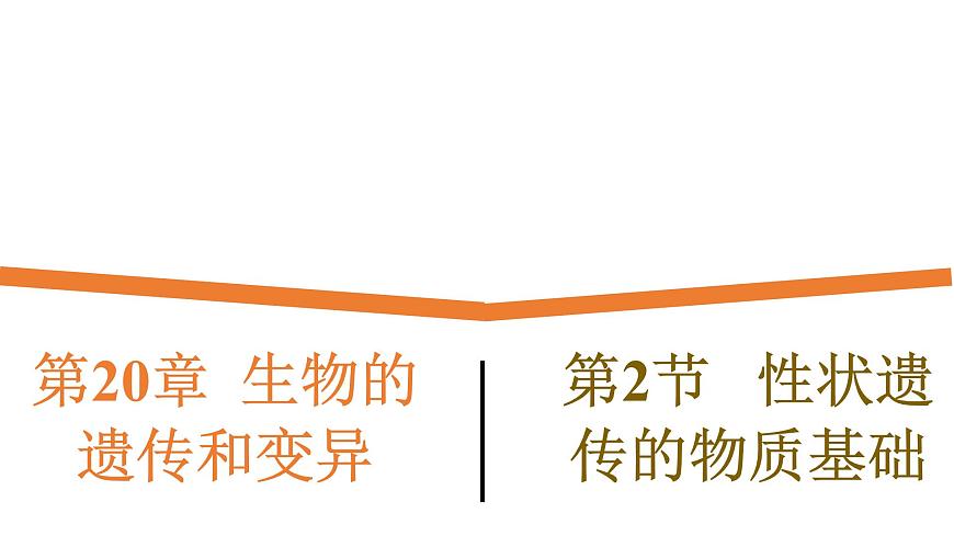 20.2《性狀遺傳的物質(zhì)基礎(chǔ)》課件第1頁