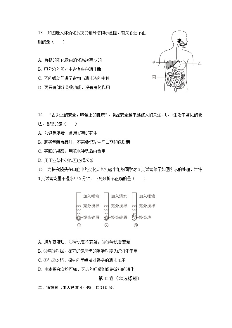 2022-2023学年广西防城港市防城区七年级（下）期中生物试卷（含解析）03