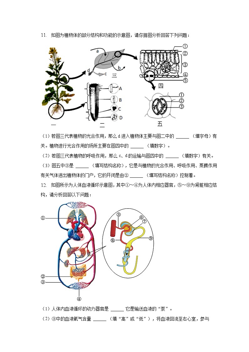2023年安徽省中考生物信息卷(二)(含解析)03