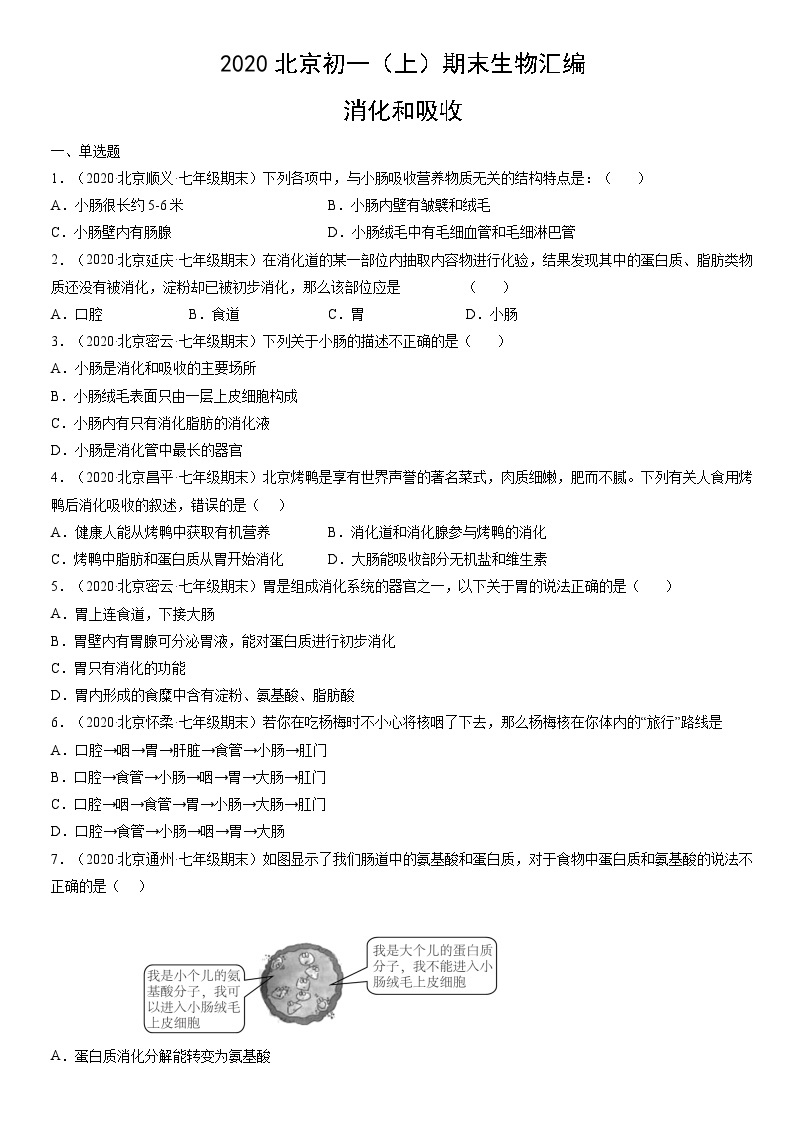 2020北京初一（上）期末生物汇编：消化和吸收 试卷01