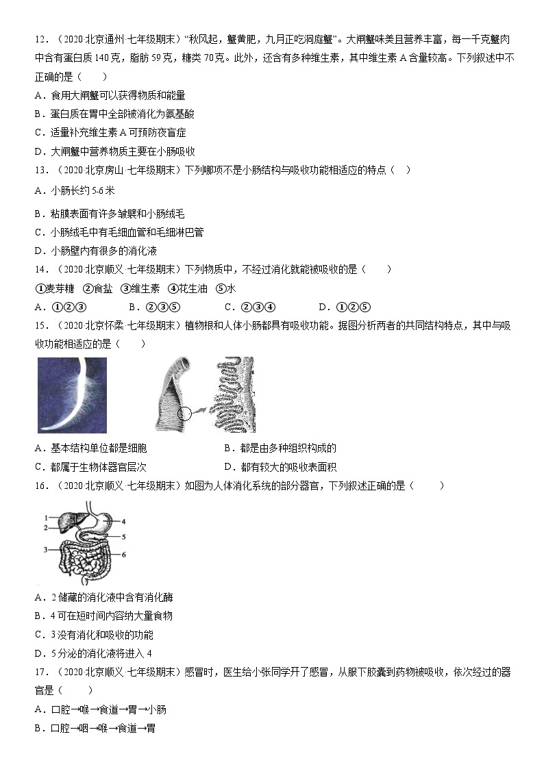 2020北京初一（上）期末生物汇编：消化和吸收 试卷03
