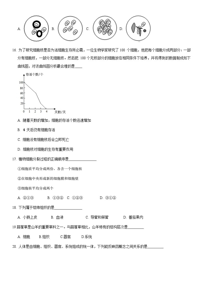 2021北京四十三中初一(上)期中生物(教师版)第3页