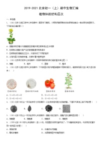 2019-2021北京初一（上）期中生物汇编：植物体的结构层次
