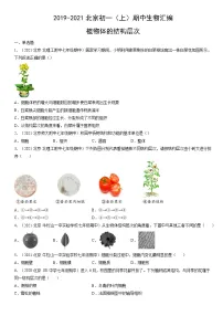 2019-2021北京初一(上)期中生物汇编:植物体的结构层次