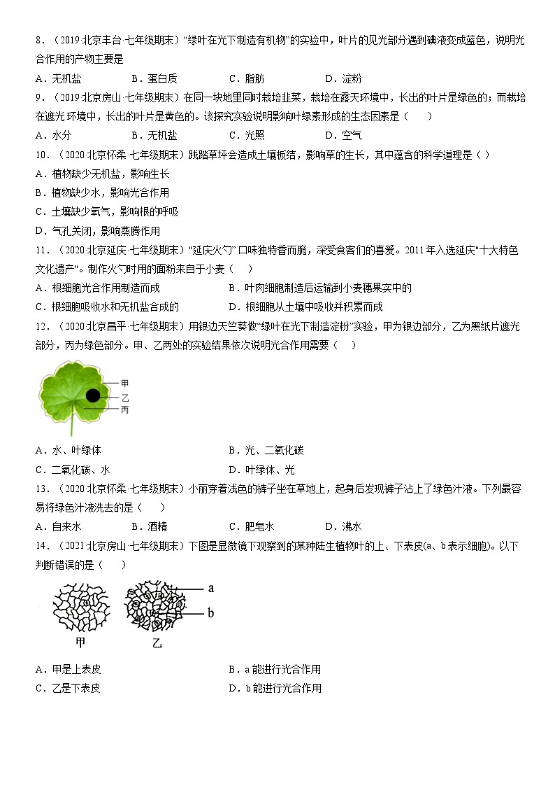 2019-2021北京初一（上）期末生物汇编：绿色植物是生物圈中有机物的制造者 试卷02