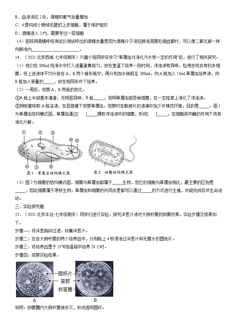 2021北京初一(上)期末生物汇编:生物圈中的其他生物第3页