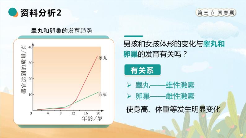 4.1.3《青春期》课件07