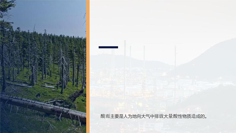 4.7.2《探究环境污染对生物的影响》课件第5页