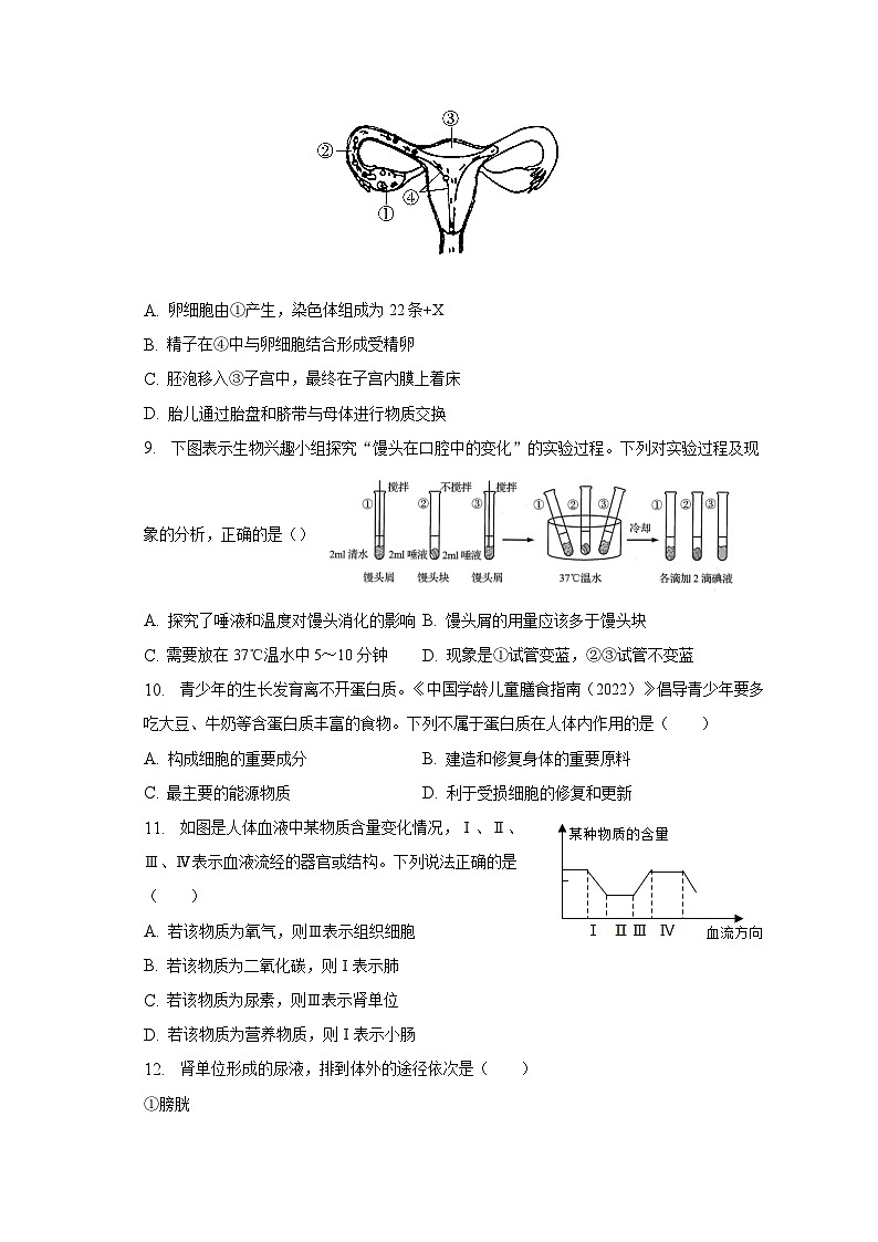 2023年河南省周口市川汇区中考生物一模试卷(含解析)第3页