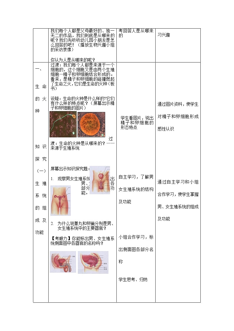 4.1.2 人的生殖-教案第2页