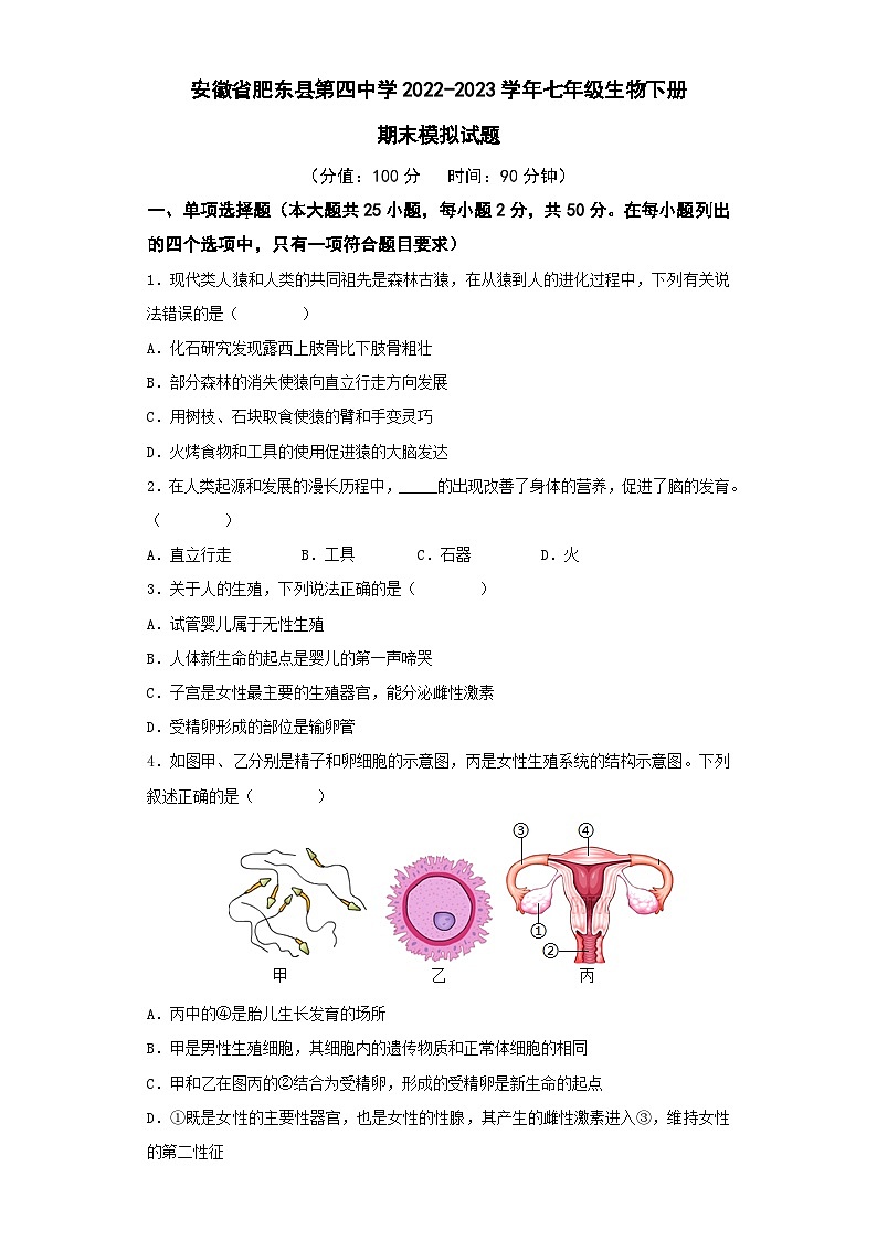 安徽省肥东县第四中学2022-2023学年七年级生物下册期末模拟试题第1页