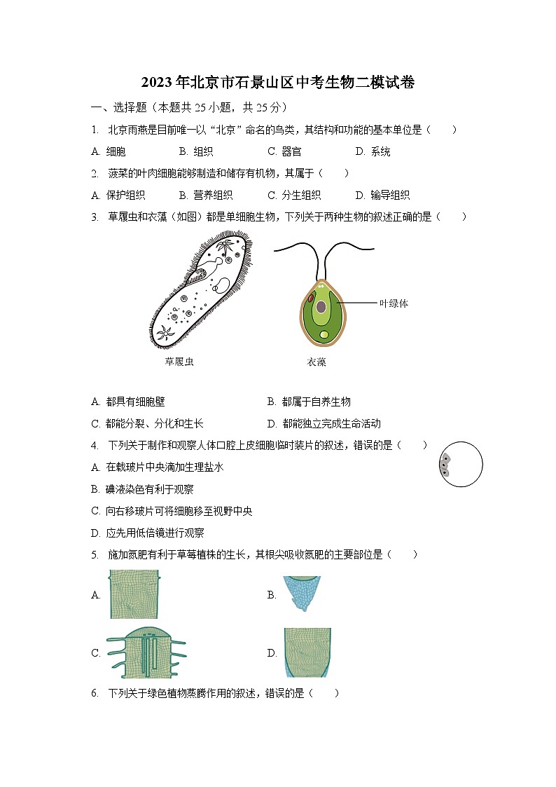 2023年北京市石景山区中考生物二模试卷(含解析)第1页