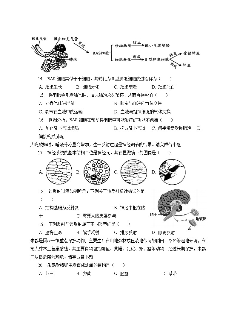 2023年北京市丰台区中考生物一模试卷(含答案解析)03