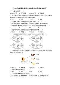 2023年福建省泉州市永春县中考生物模拟试卷（含答案解析）