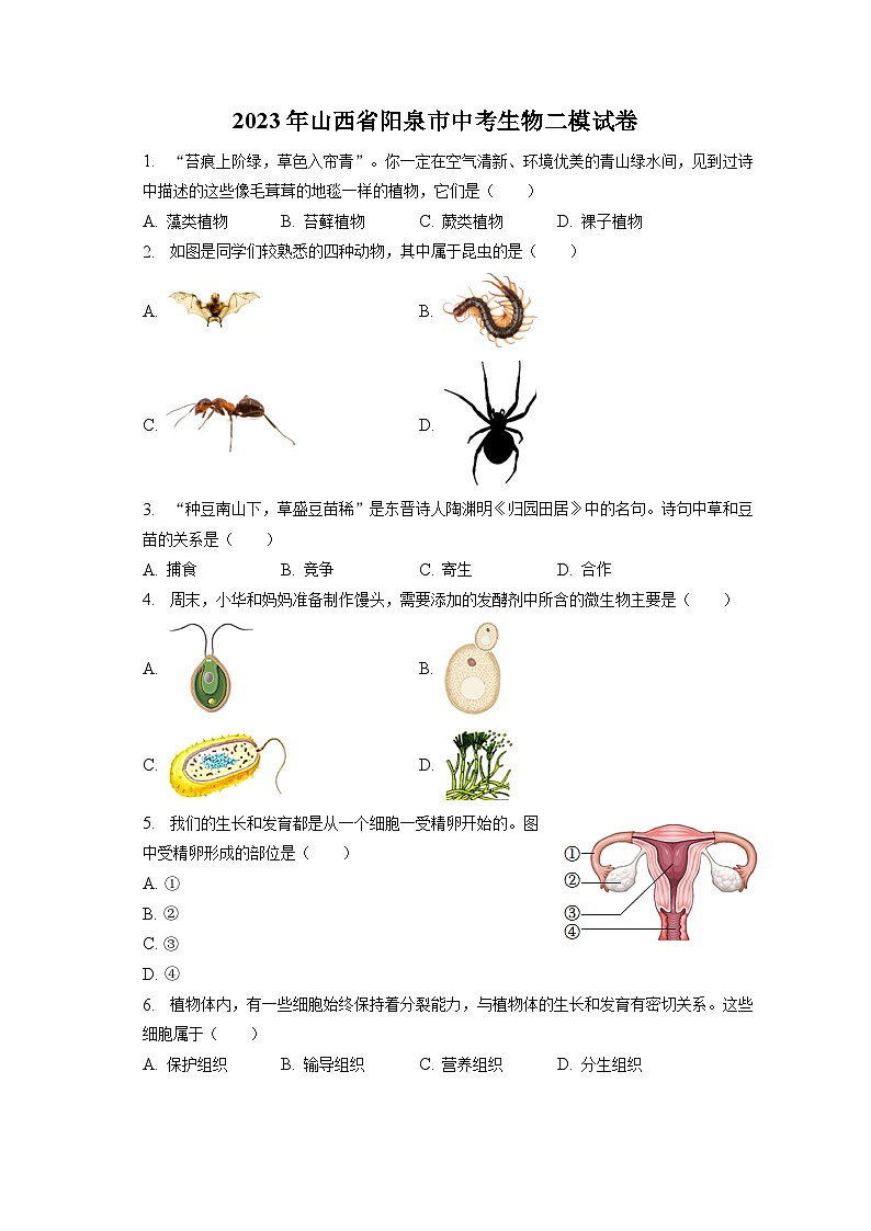 2023年山西省阳泉市中考生物二模试卷(含答案解析)第1页