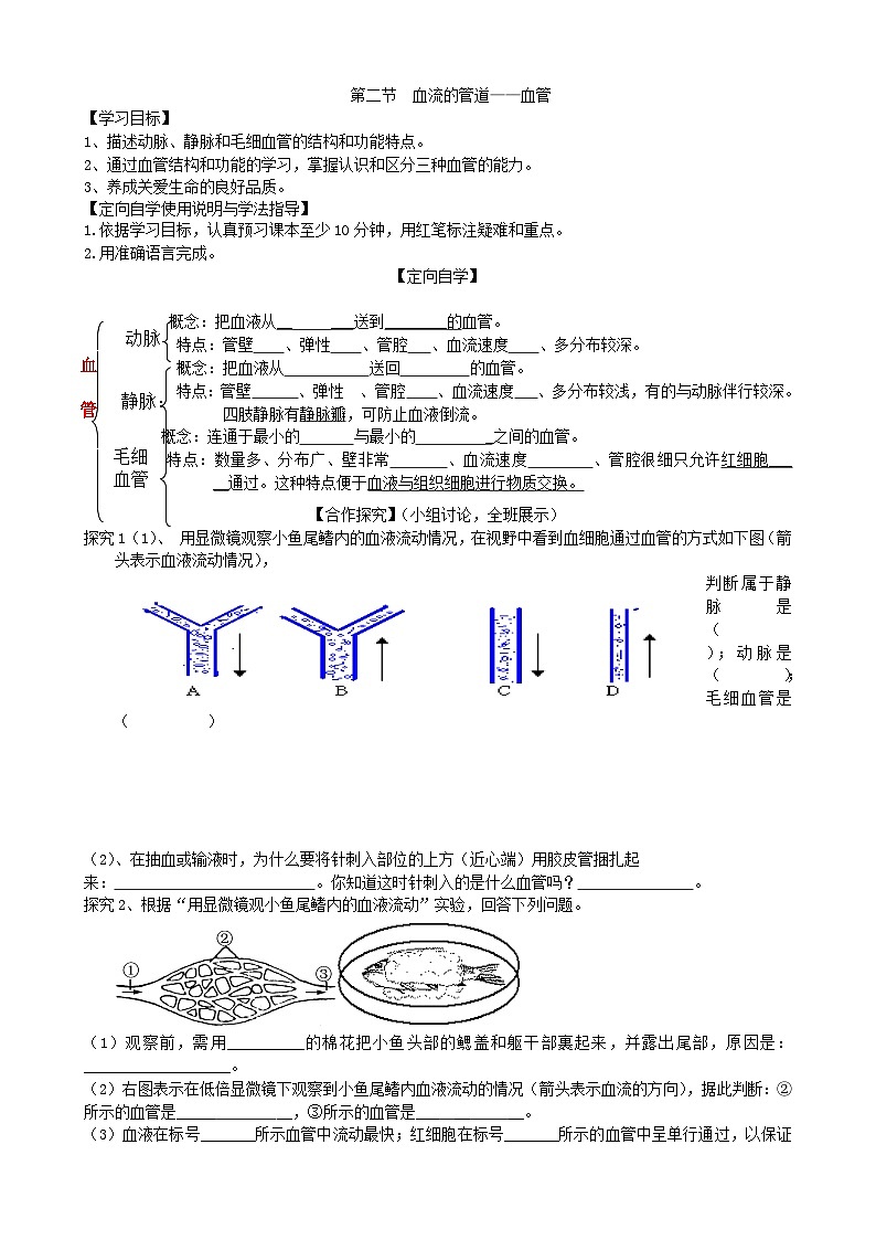 4.4.2《血流的管道—血管》(2)学案01