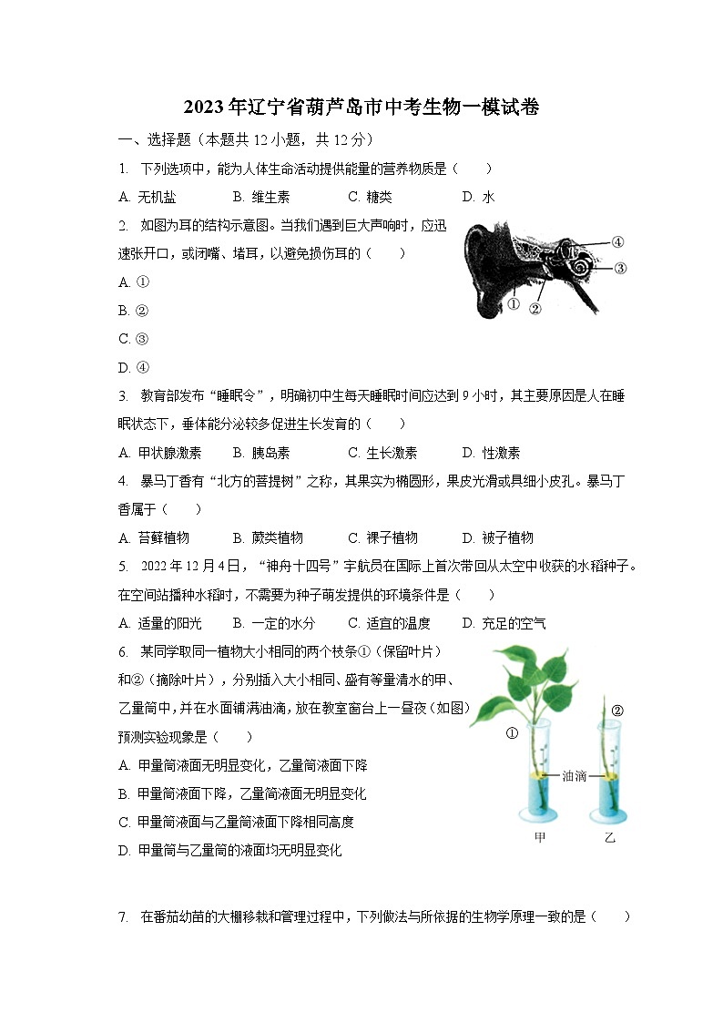 2023年辽宁省葫芦岛市中考生物一模试卷(含解析)01