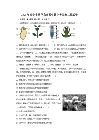 2023年辽宁省葫芦岛市绥中县中考生物二模试卷（含解析）