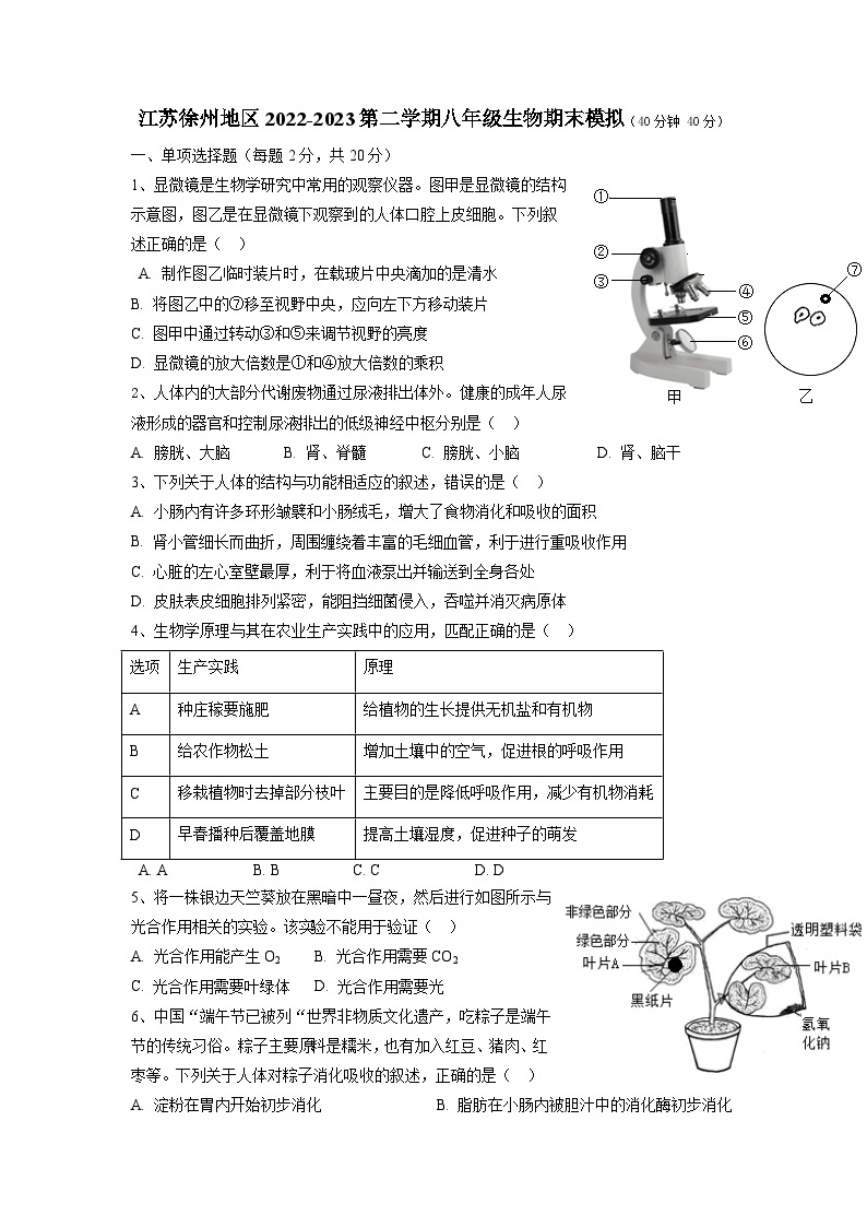 江苏省徐州市2022-2023学年八年级下学期期末模拟生物试卷01