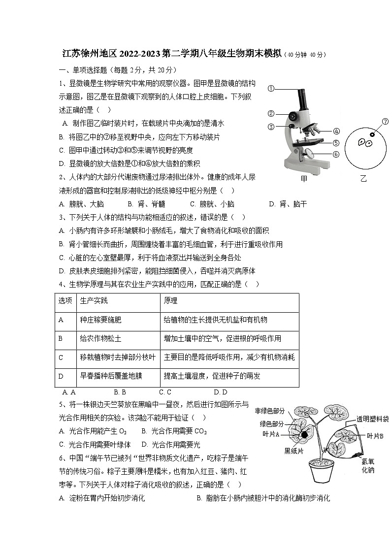 江苏省徐州市2022-2023学年八年级下学期期末模拟生物试卷第1页