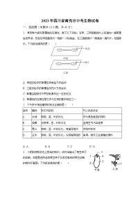 2023年四川省南充市中考生物试卷（含解析）