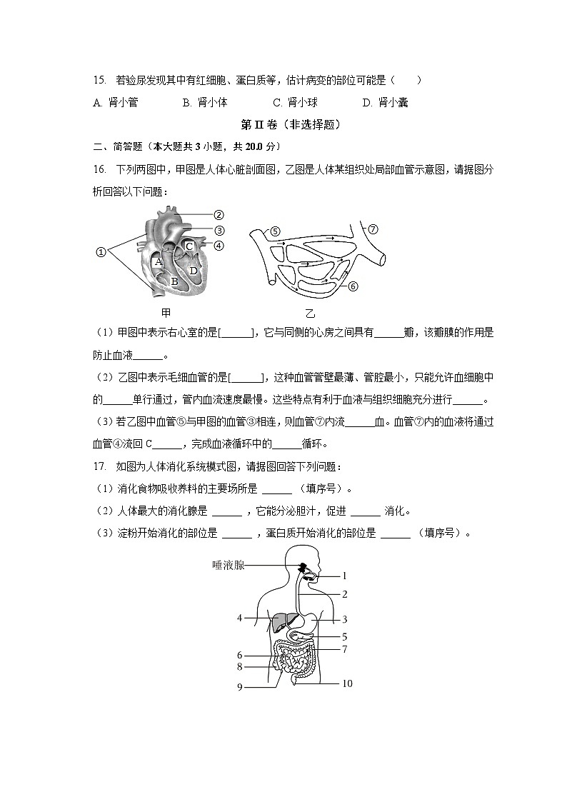 2022-2023学年广西防城港市上思县七年级(下)期中生物试卷(含解析)第3页