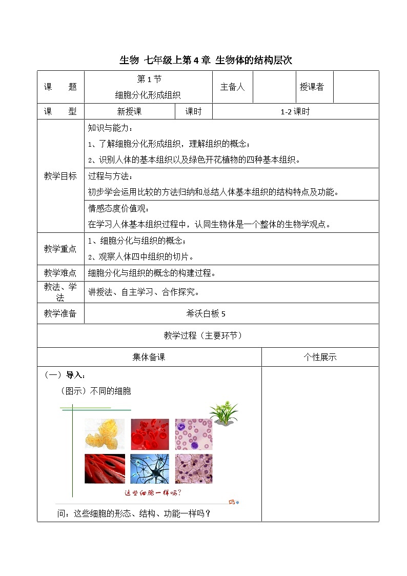 北师大版七年级上册生物教学设计 第4章 生物体的结构层次 第1节 细胞分化形成组织01