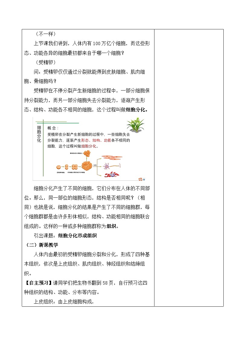 北师大版七年级上册生物教学设计 第4章 生物体的结构层次 第1节 细胞分化形成组织02