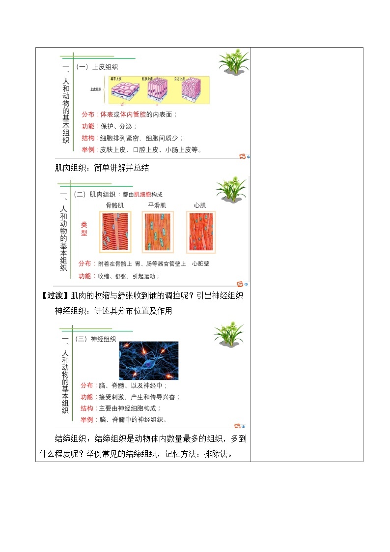 北师大版七年级上册生物教学设计 第4章 生物体的结构层次 第1节 细胞分化形成组织03