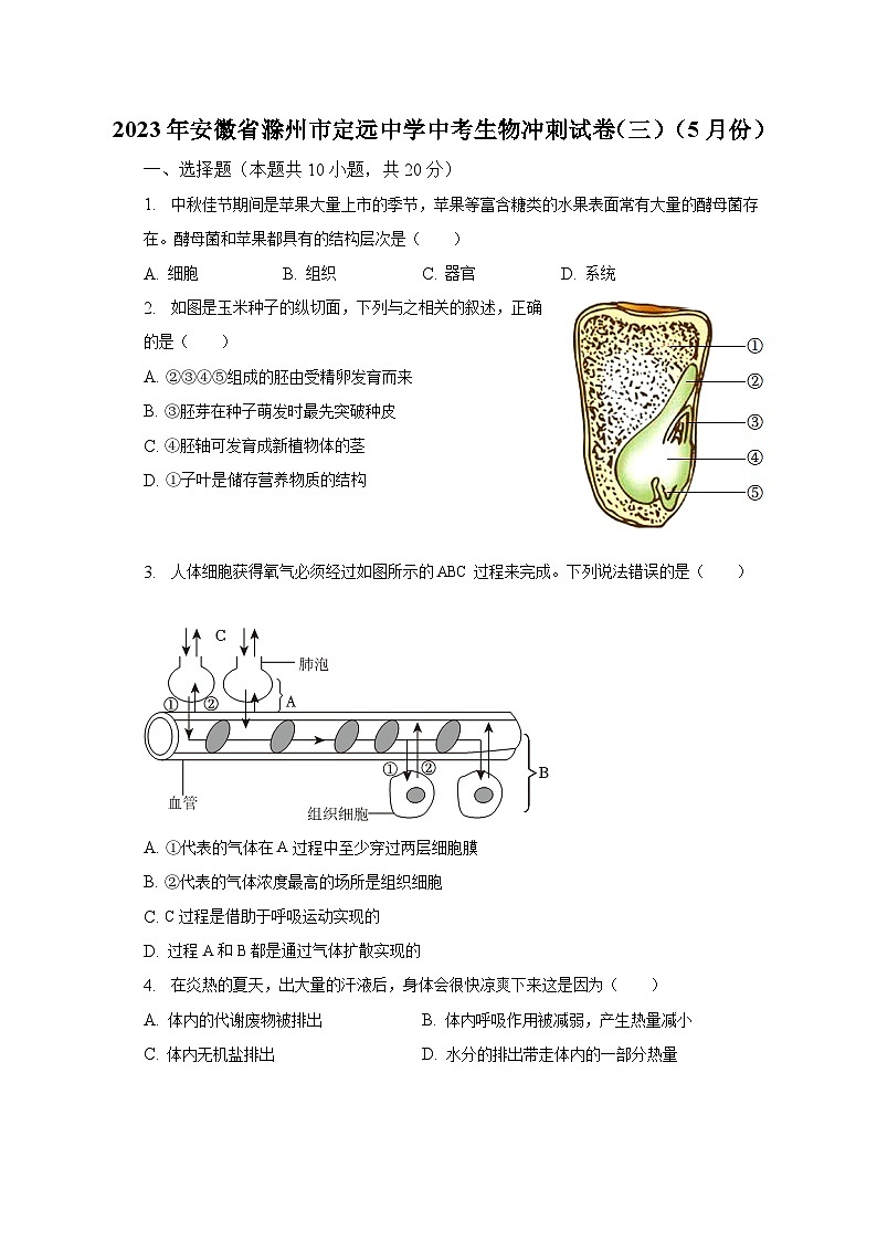 2023年安徽省滁州市定远中学中考生物冲刺试卷(三)(5月份)(含答案)第1页