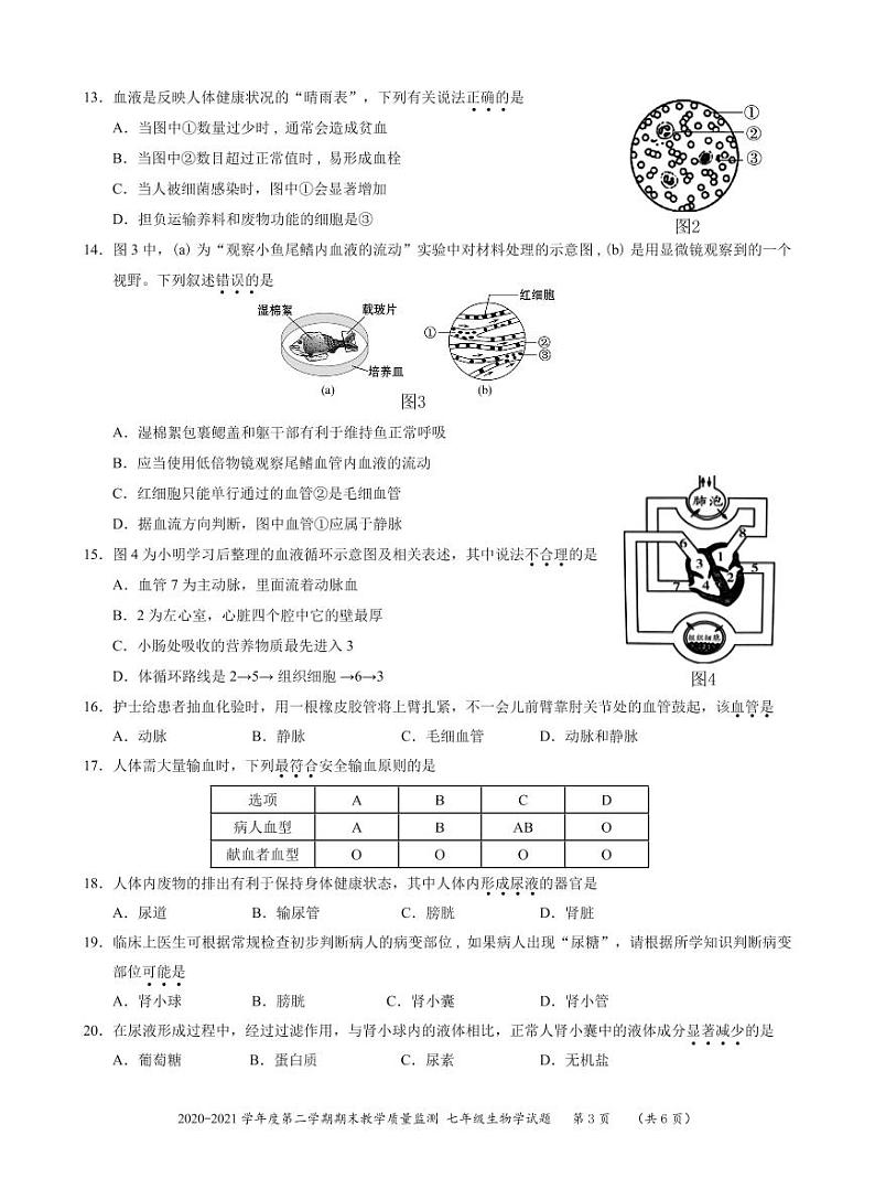 广东省深圳市南山区2020-2021学年七年级下学期生物期末试卷03
