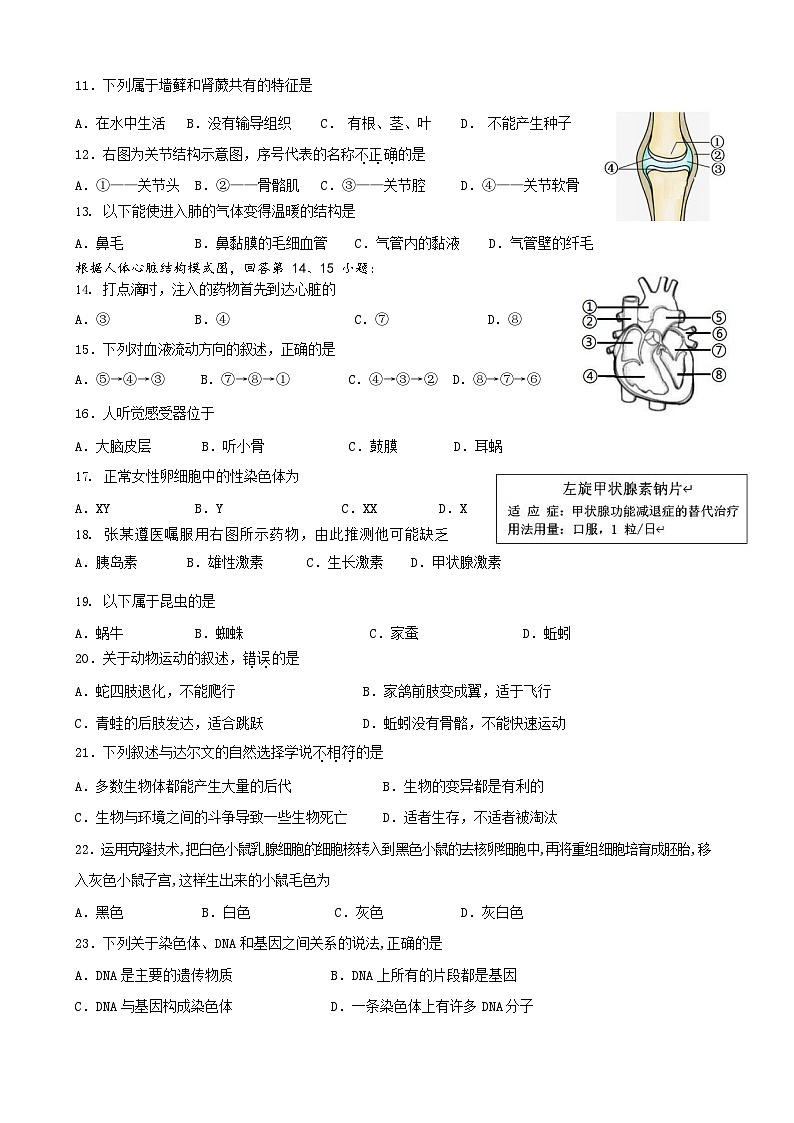 2023年福建省漳州市第一中学初中生物中考练习卷(二)(含答案)第2页