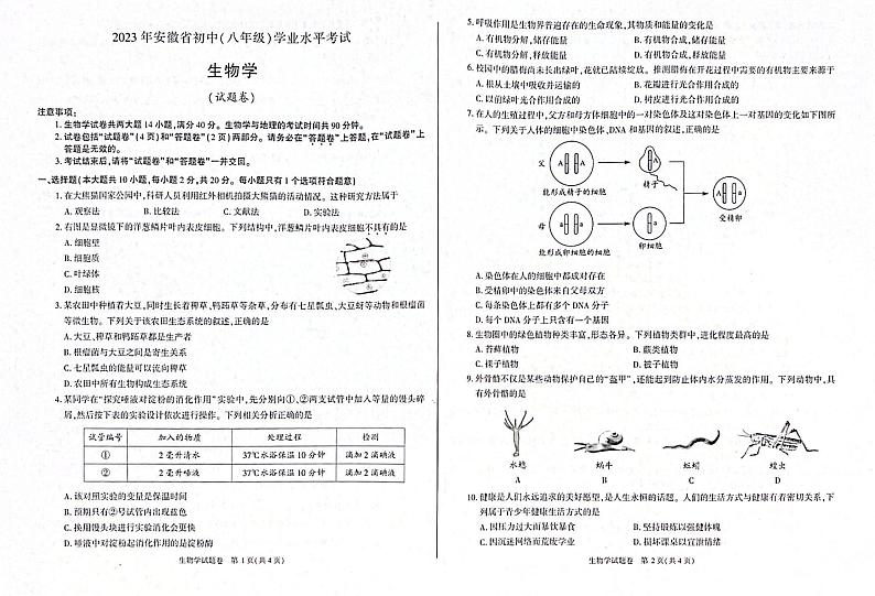 2023年安徽省中考生物真题01