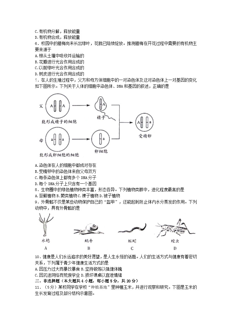 2023年安徽省中考生物真题02