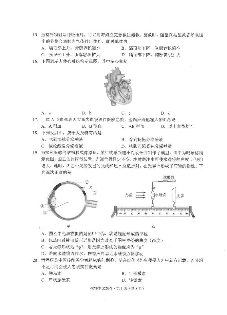 2023年云南省中考生物真题03